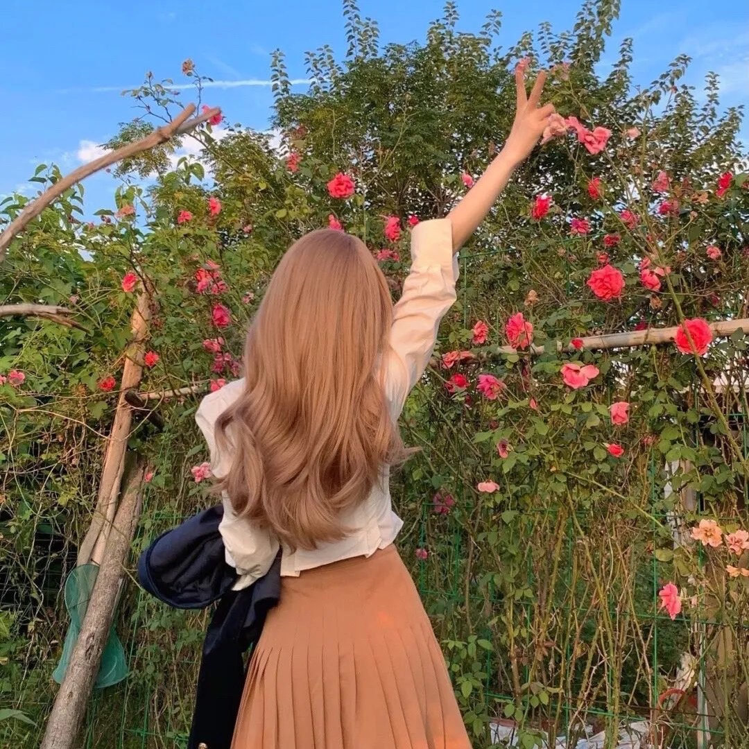 多伦多法律与秩序:犯罪倾向